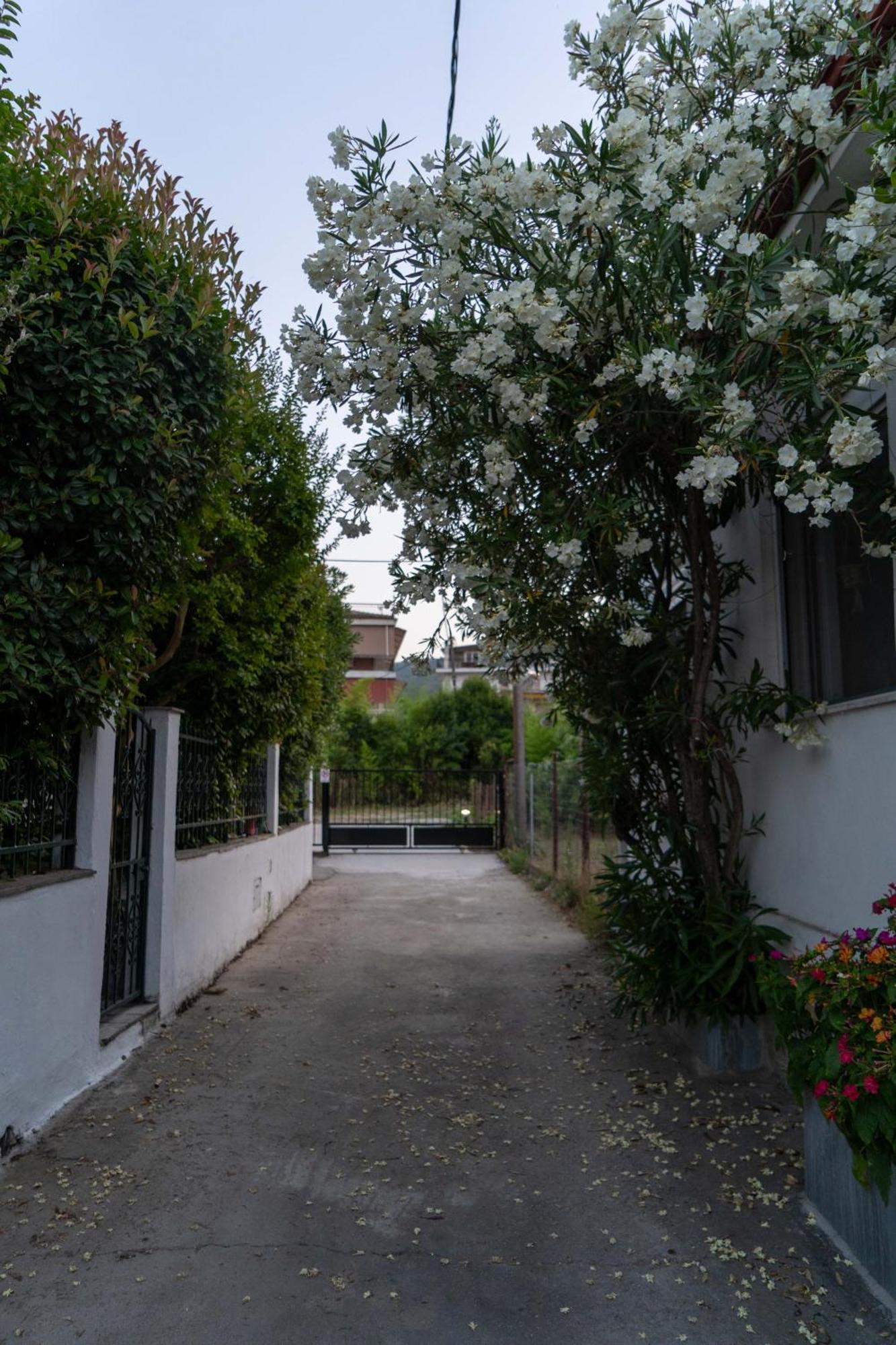 Terrazzo House Vila Platamonas Exterior foto